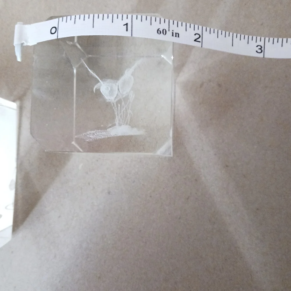 1#Crystal Glass Blocks with Etched Designs Cat&birds Heavy Paperweights - Picture 8 of 8
